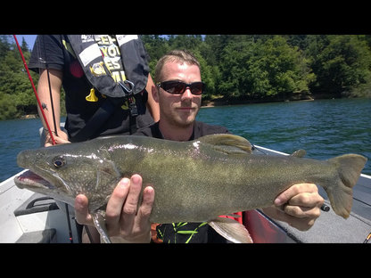 Cristivomer lac du Bouchet 1